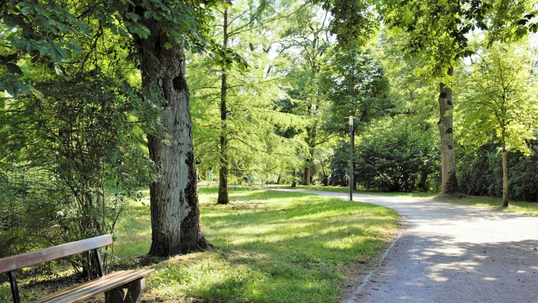 Pardubice plánují park a jednou i archeopark na místě prvního osídlení města.