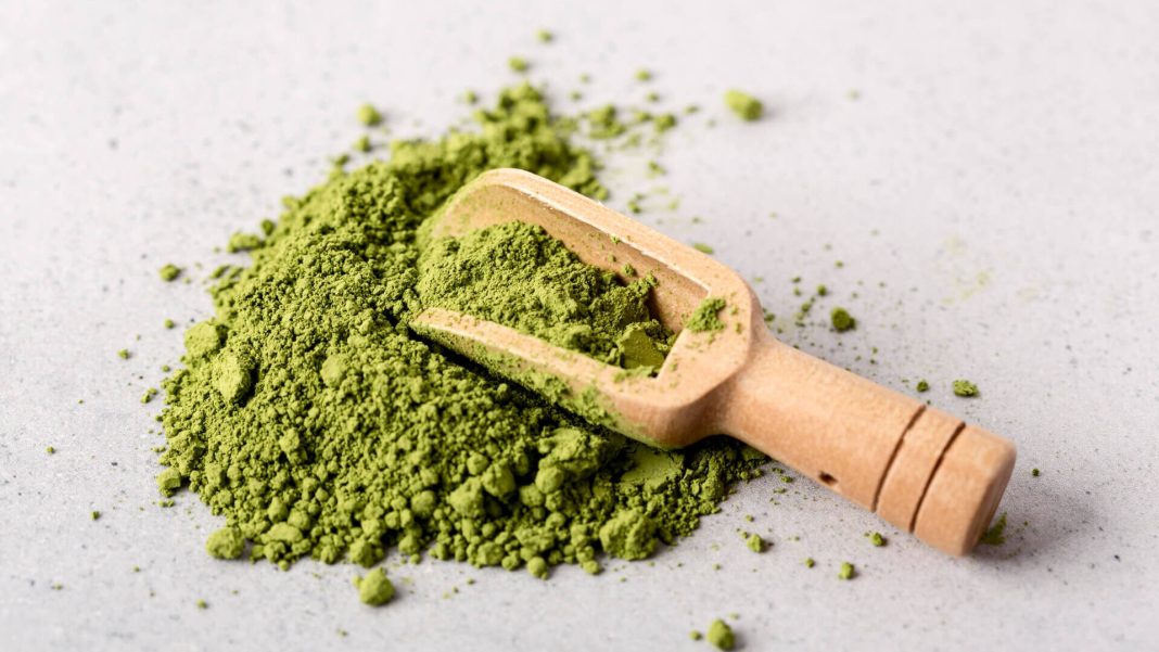 Babiš Vláda připraví adiktologický zákon, kratom bude možné koupit od 21 let.