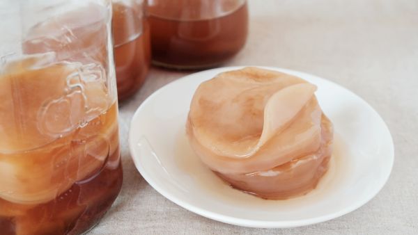 Kombucha