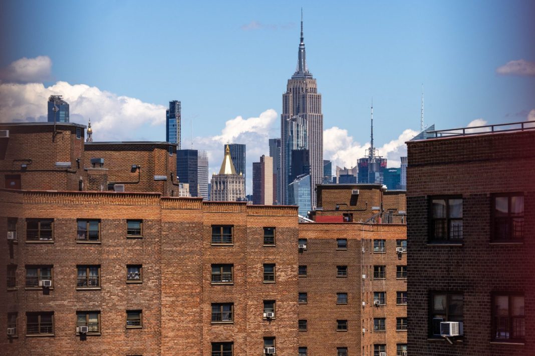 Muž venčící psa v Central Parku s výškovými budovami Manhattanu v pozadí