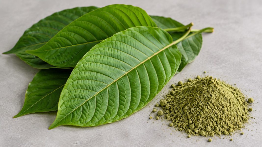 Lex kratom vytvoří prostor pro organizovaný zločin, tvrdí odborníci. Kritizují zákazy e-shopů i CBD